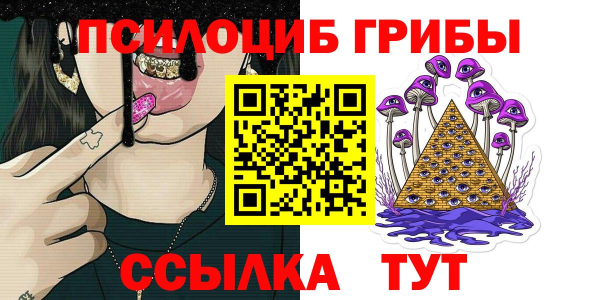 Псилоцибиновые грибы прущие грибы Урус-Мартан